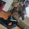frank.alexander.a375