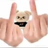 mini_puppym