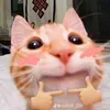 cuicuierr