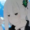 Echidna