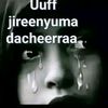 Burtee shawaa jalduu