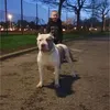 lennyboy845