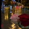 walidsimou81