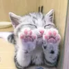 littleyoo7