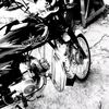 amirlagari64shoaib