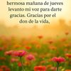 user87451032597253