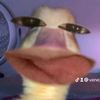 venezuelaaa2