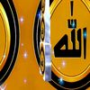 user9214961097493