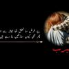 mahrab.rajpoot0