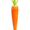 carrot17641