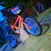elpapubmx