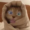 Năm Chục Lộn Xộn