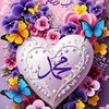 user7246961550298