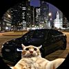 alfredo_e1