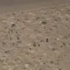 baran_karzan0