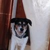gary.hart70