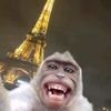 user31095077901548