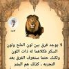 user86840605458887