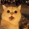 user_picegggg