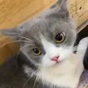 bngoccnguyn