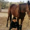 user3717801210498