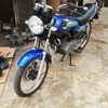 wahyu.tri.rustant