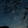 zoe.zoe7565