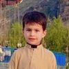 hazratbilal8334
