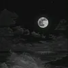 ayfpp_