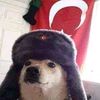 yavuz.babapro6