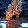nginguthandiwe01