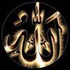 tanveerahmad69355811