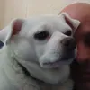 mikky77770