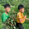 huy.trung966