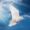 john.abraham_7