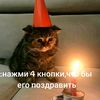 dkfkdkcicc.xo