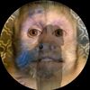 roman_giddings2
