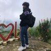 mosch_aall0