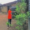 Afro_walx