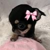 lola673830