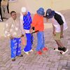 salim.jibrin
