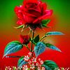 user65413582618465