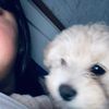 nosoydelfi_.0