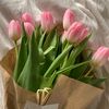 oliv._karin88
