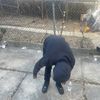 newmoneydink6