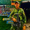 erixon.kobra212