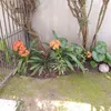 juanmaidana965