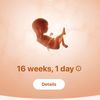 babyboyloadingg