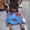 maily_437