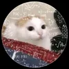 wuandepchai